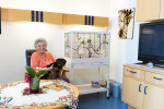 ÖJAB Waldpension Apartment mit Seniorin mit Vogelkäfig.