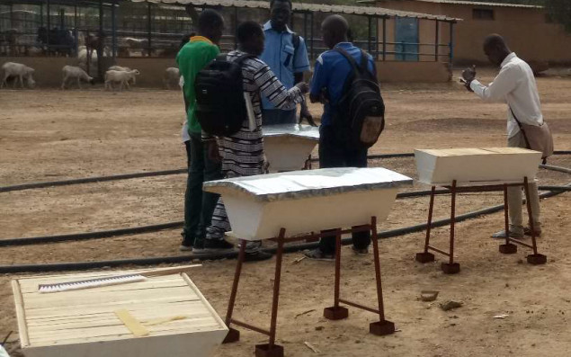 Men stand among beehives in preparation.